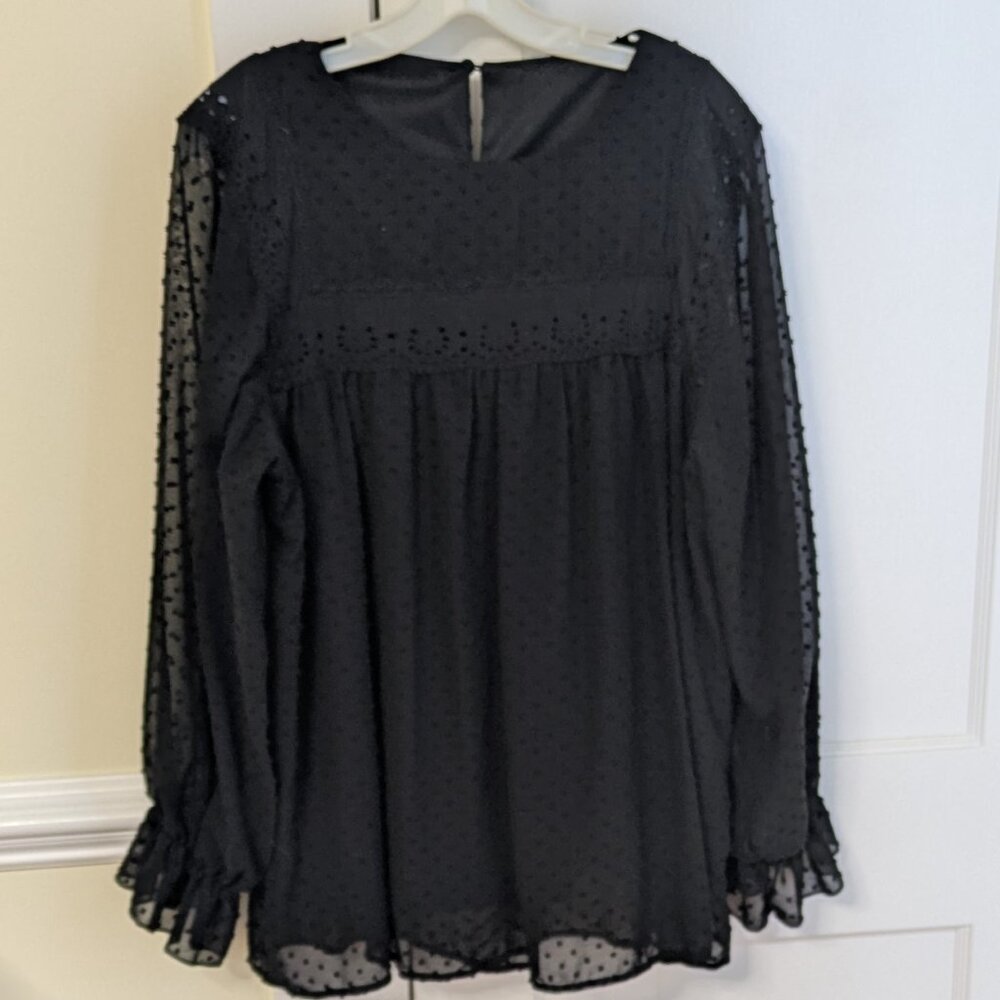 Black Long Sleeve Crewneck Chiffon Casual Flowy Swiss Dot Blouse